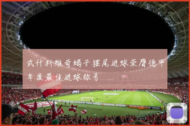 武什科维奇蝎子摆尾进球荣膺德甲年度最佳进球称号