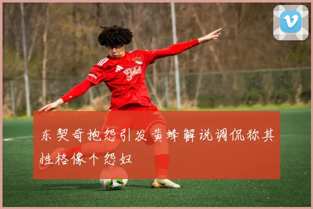 东契奇抱怨引发黄蜂解说调侃称其性格像个怨妇